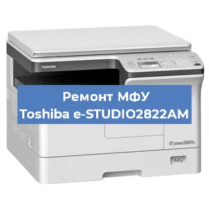 Замена головки на МФУ Toshiba e-STUDIO2822AM в Ижевске